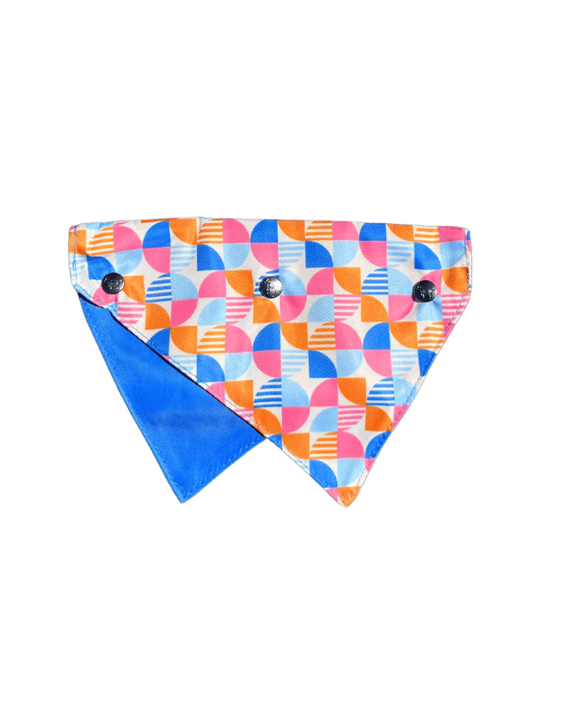FuzzYard Bandana - Fresh Zest M/L