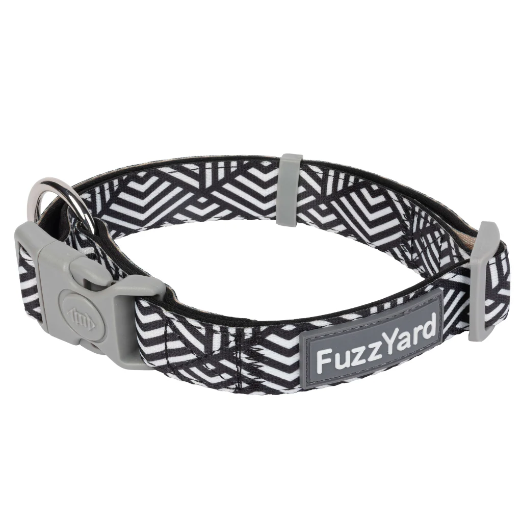 FuzzYard Dog Collar - Fitzroy S