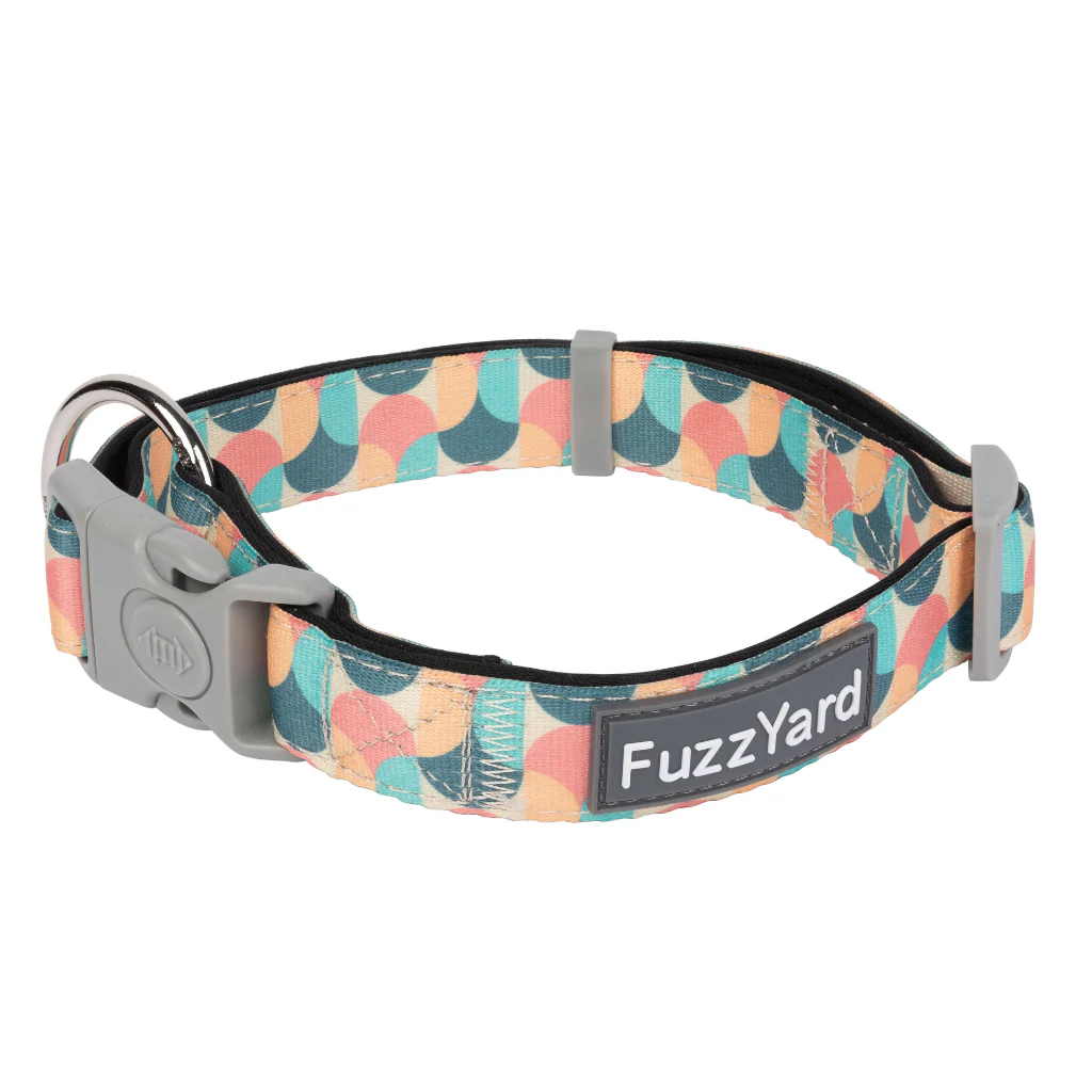 FuzzYard Dog Collar - Carioca S