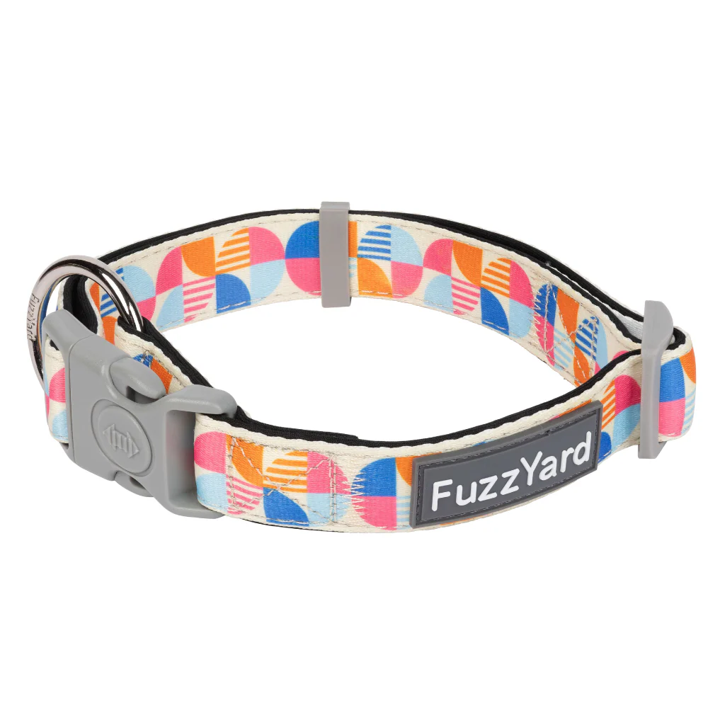 FuzzYard Dog Collar - Fresh Zest M