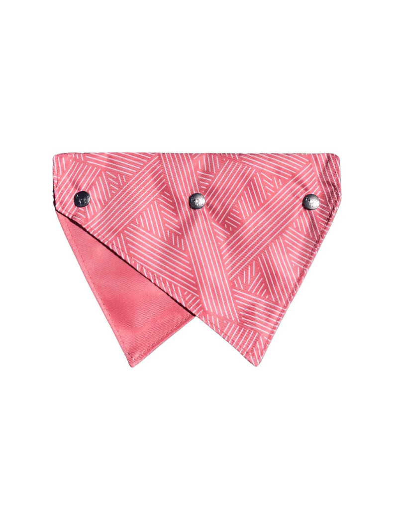 FuzzYard Bandana - Thornbury - Brick Red S/M