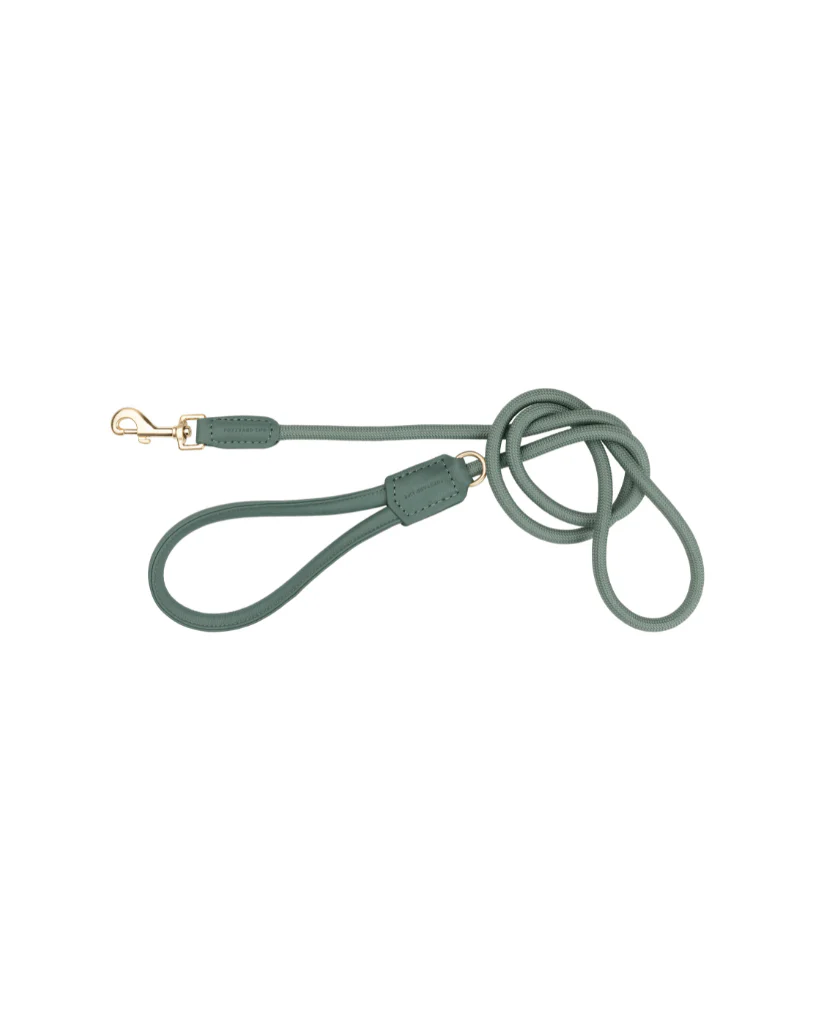FuzzYard LIFE Atelier Dog Lead - Myrtle Green L