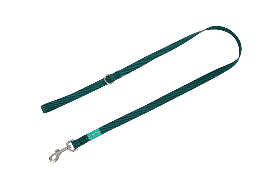 Povodac Nylon Basic zeleni 20 mm × 120 cm