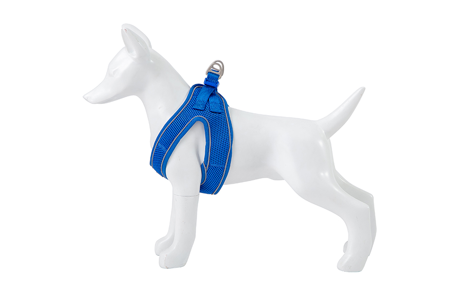 Am Soft tamno plavi S 35–40 cm