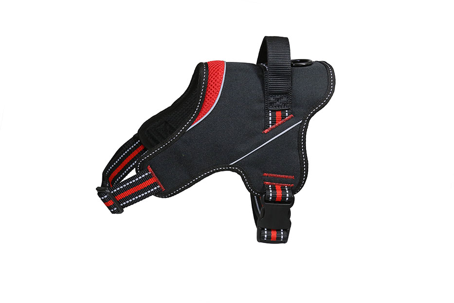 Am Strong crveni vrat 45/58 cm prsa 60/78 cm