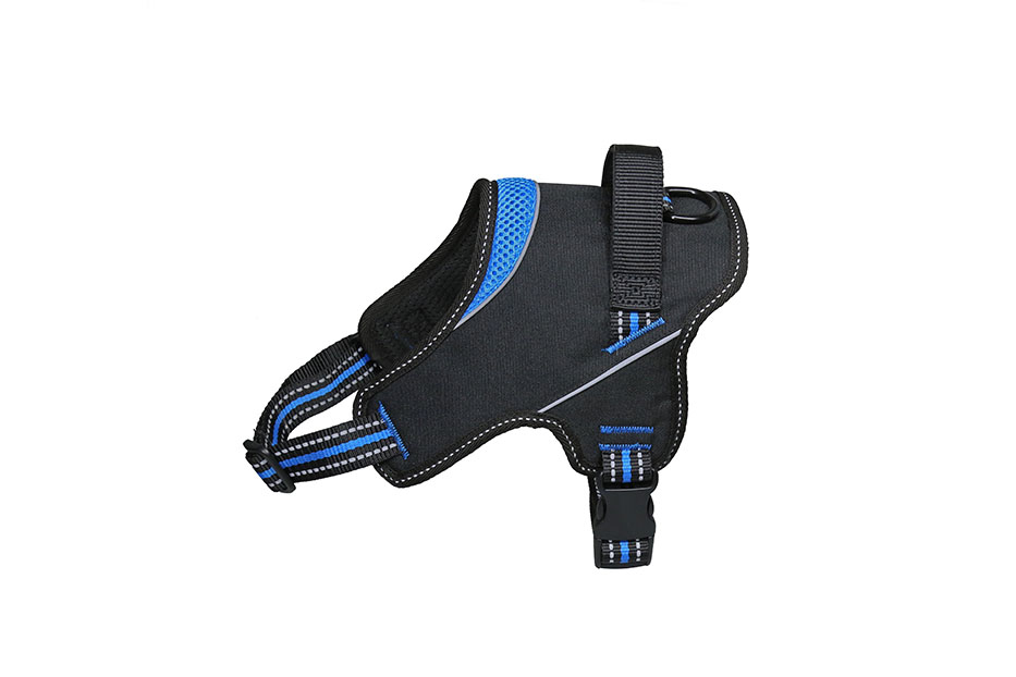 Am Strong plavi vrat 45/58 cm prsa 60/78 cm