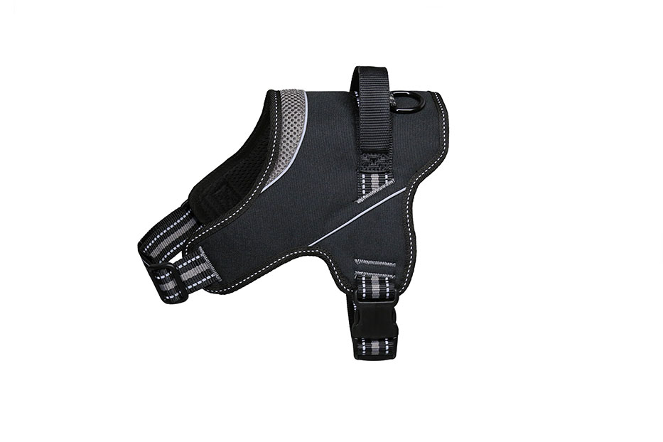 Am Strong sivi vrat 45/58 cm prsa 60/78 cm