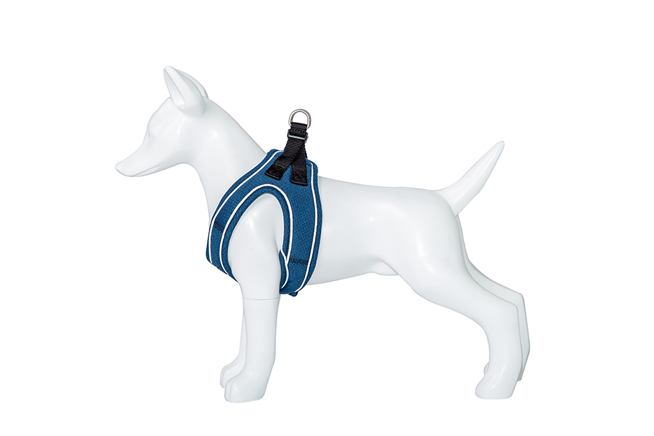 Am Shiva tamno plavi 20–35 cm