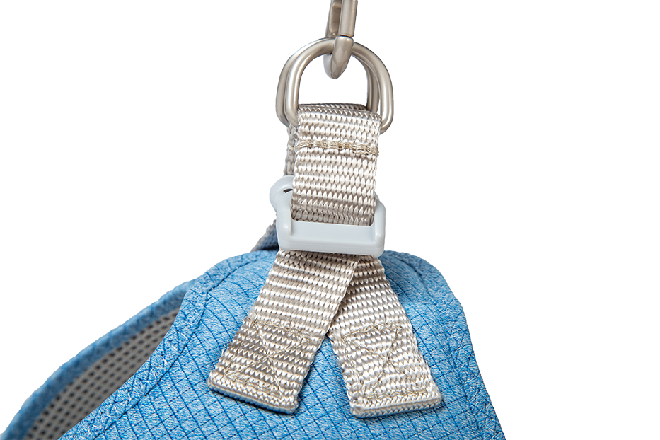 Am Shiva nebesko plavi 20–35 cm