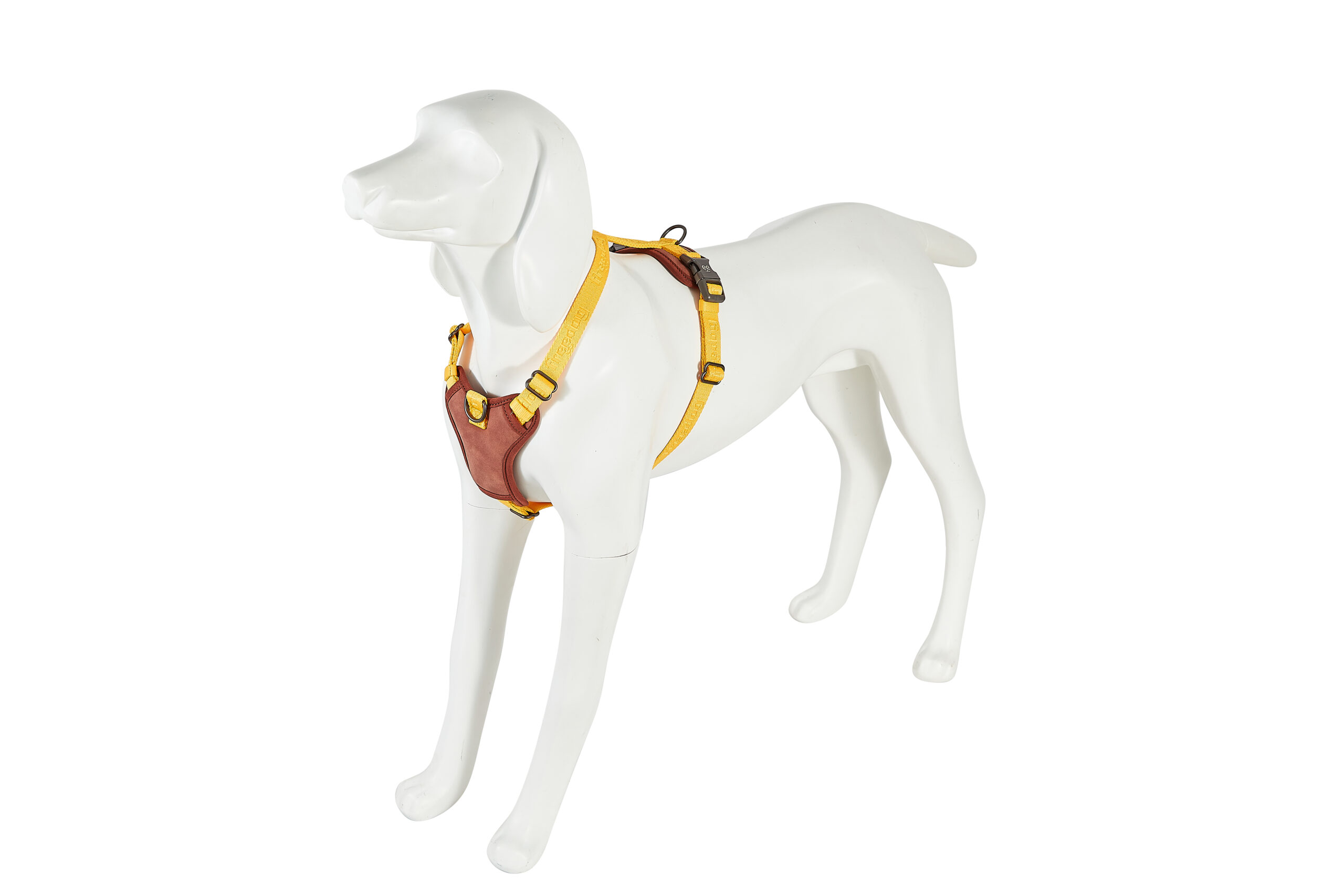 Am Linum YELLOW SUNRISE 15 mm × vrat 30/42 cm pr…