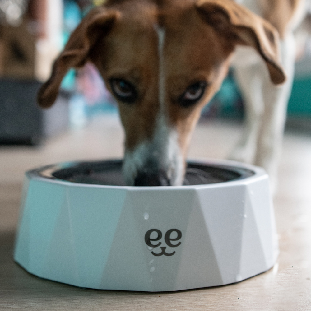 Zdjela DropFree 1 L 23,5 × 23,5 × 7 cm bijela