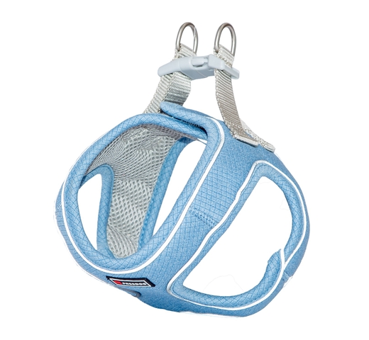 Am Shiva nebesko plavi 20–35 cm