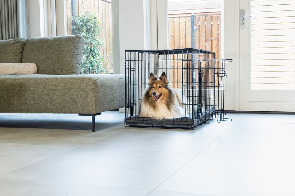 Beeztees transporter za pse metalni 81x55,5x61,5