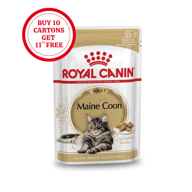 ROYAL CANIN MAINECOON PRELIV 85GR