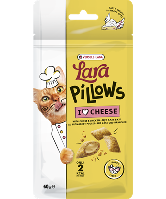 Lara Pillows with Cheese Happy Vibes Treats